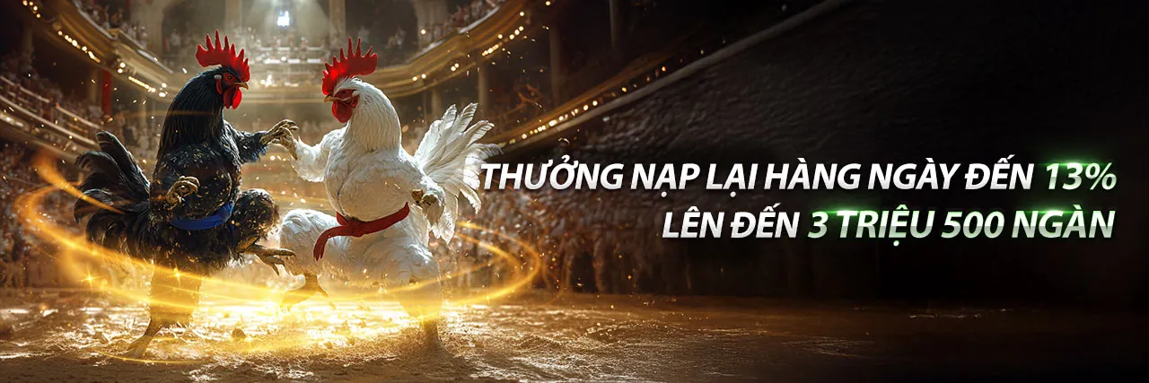 Đá Gà Fyl888 Sân Đấu Kịch Tính