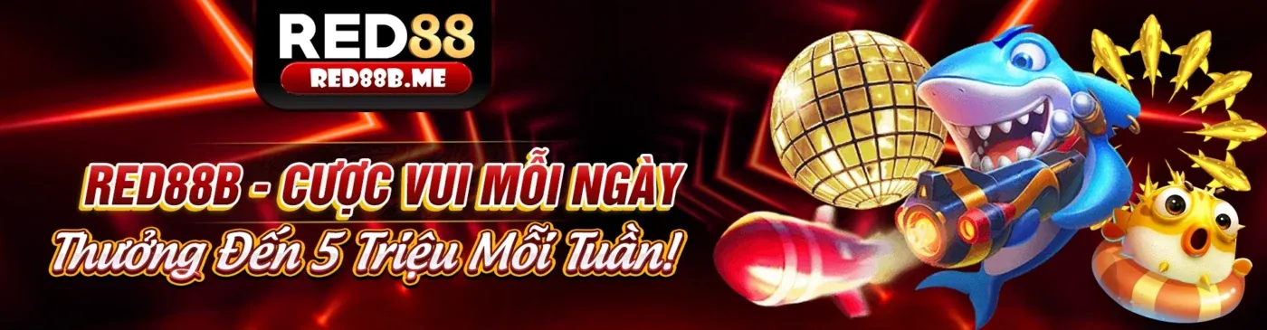 Tin tức fyl888 mới nhất 2026 với các cập nhật giải trí và khuyến mãi